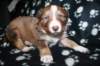 kami25daysold6_small.jpg