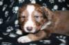 kami25daysold8_small.jpg