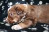 kami25daysold9_small.jpg