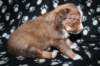 kami25daysold_small.jpg