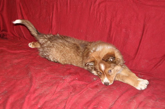 kami25monthsold2.jpg