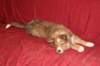 kami25monthsold3_small.jpg