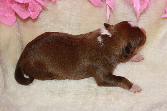 kami2daysold2.jpg