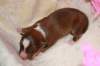 kami2daysold_small.jpg