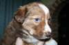 kami34daysold11_small.jpg