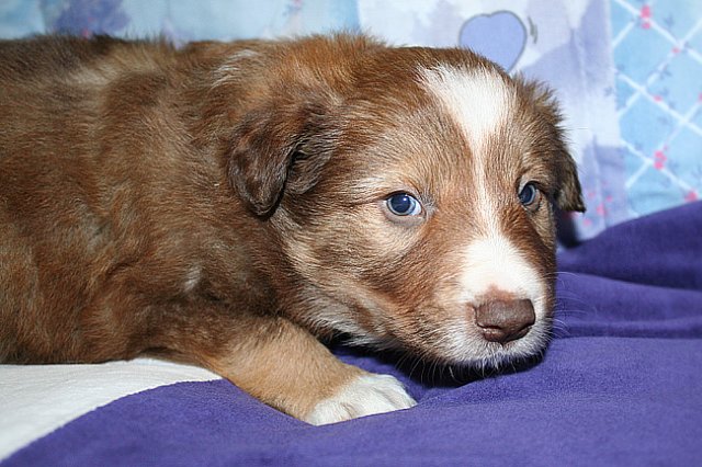 kami34daysold2.jpg