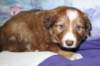 kami34daysold3_small.jpg