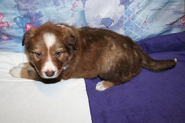 kami34daysold5.jpg