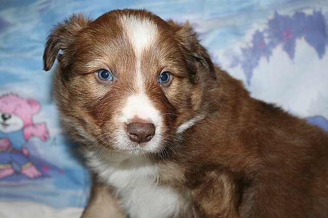 kami34daysold7.jpg