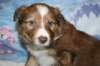 kami34daysold7_small.jpg