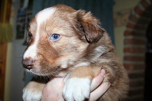 kami34daysold9.jpg