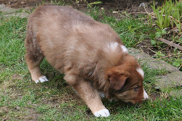 kami42daysold5.jpg