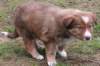 kami42daysold6_small.jpg