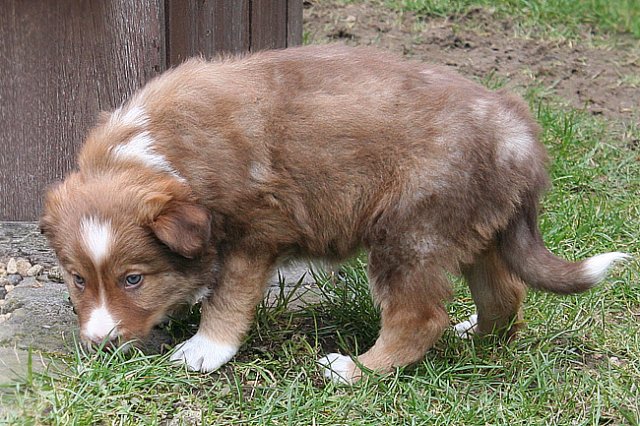 kami42daysold8.jpg