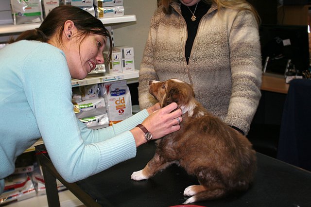 kami42daysoldatthevet.jpg