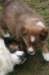 kami42daysoldzoe_small.jpg