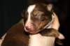 kami8daysold5_small.jpg