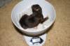 kamibeingweighedondayofbirth_small.jpg