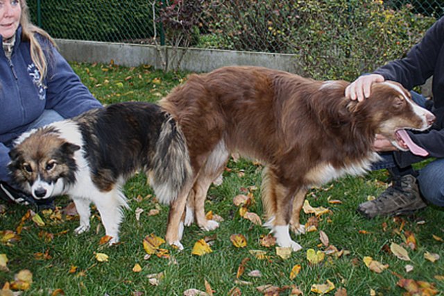 matingzoeechoon07112010.jpg