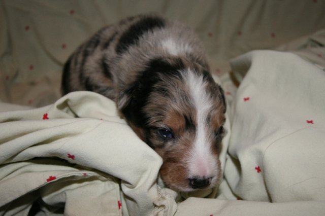 kwikkatch16daysold.jpg