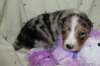 kwikkatch16daysold7_small.jpg