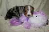 kwikkatch16daysold8_small.jpg