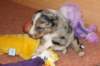 kwikkatch20daysold_small.jpg