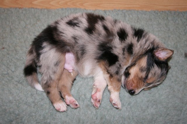 kwikkatch25daysold.jpg