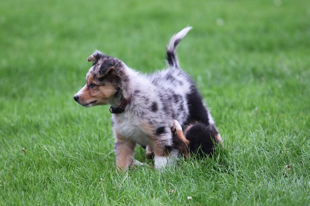kwikkatch2monthsold.jpg