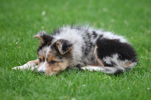 kwikkatch2monthsold4.jpg