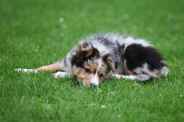 kwikkatch2monthsold6.jpg