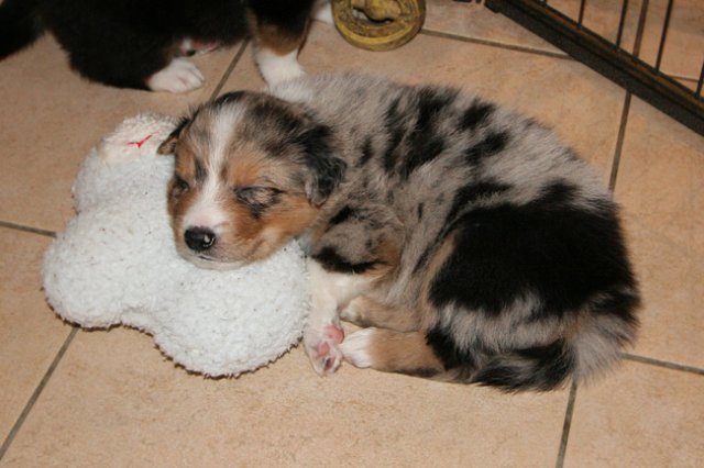 kwikkatch32daysold.jpg