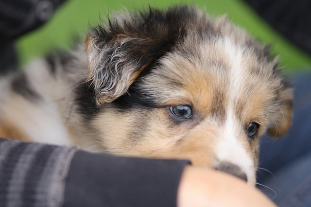 kwikkatch48daysold.jpg