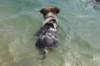 waterplaykatch3monthsold4_small.jpg